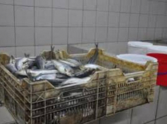 Предпринимателя, травившего горожан едким запахом, привлекли к ответственности власти Таганрога