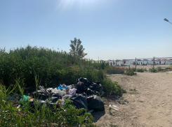 Все лето таганрожцы и гости города наблюдают нелицеприятные картины у пляжа