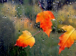 Погода в выходные дни в Таганроге обещает быть пасмурной и дождливой