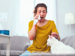 «Будьте здоровы!»: когда пора обратиться к аллергологу?