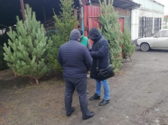 Таганрог на втором месте в области по нелегальной торговле 