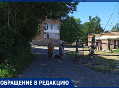 «Жалеете бездомных животных– забирайте их себе домой!» - таганроженка призывает к грамотной зоозащите