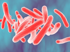 О необходимости профилактики туберкулёза в Таганроге и области