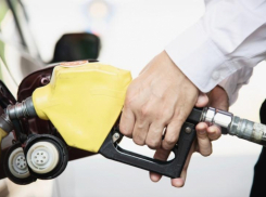 Медленно, но верно: цены на бензин в Таганроге и Ростовской области продолжают расти