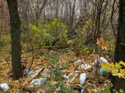 Нет денег на уборку: превратится ли посадка в Таганроге в свалку?