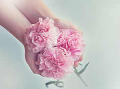 Таганрогские учителя готовятся отмечать профессиональный праздник