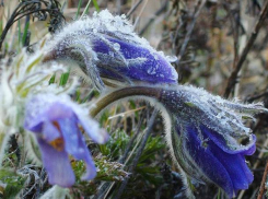 В Таганроге ожидается похолодание, а батареи власти отключили