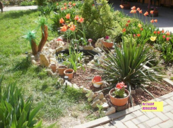 Преображением Таганрога занялись его жители