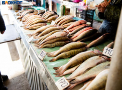 Прилавки таганрогских рынков ломятся от икряной рыбы