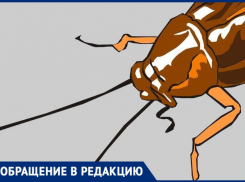 Жители многоквартирного жилого комплекса борются с тараканами