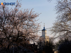 Весна берёт своё: в Таганроге после дождливого апреля ожидается потепление до +20°C