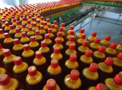 Россиян лишат алкоголя в «полторашках»