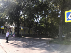 В центре Таганрога рухнуло высокое дерево, оборваны линии электропередач