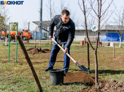 Правительство просит таганрожцев оценить работу Лисицкого за 2022 год, хотя он 10 месяцев не сити-менеджер