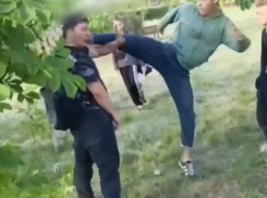  Агрессия растет: под Таганрогом подросток в окружении сверстников избил прохожего