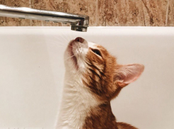 Два района Таганрога временно ограничены в водоснабжении