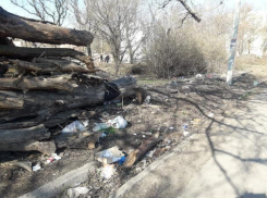 Школа №35 в Таганроге обросла мусором