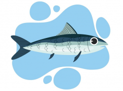 Осетр направился в сторону Таганрога 