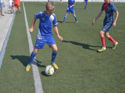 На искусственном поле  таганрогского «Торпедо» пройдут игры среди детей по мини-футболу