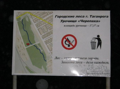 Соревнования по командной уборке пройдут в одном из городских урочищ 