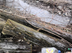 Почему проблема малой реки Таганрога не только проблема живущих на ее берегах 