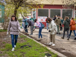 О традиционном субботнике Таганрога сняли традиционный фотоотчеты 