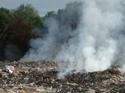 В Таганроге нашли место горящему мусору со свалки на Николаевском шоссе
