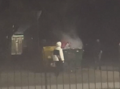 В районе Русского поля хулиганы подожгли мусорные баки 