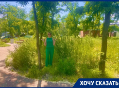  Глава Таганрога публикует фото Пушкинской набережной из параллельной реальности 