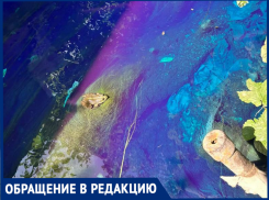 «Точечное загрязнение» или системная безнаказанность? Река Малая черепаха в Таганроге снова превращается в токсичный поток