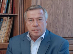 Василий Голубев: «С 6 июля на Дону в полном объёме возобновят работу детские сады»