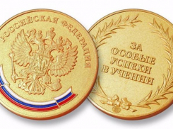 Медалистов Ростовской области поставили под сомнение