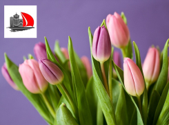 УК «Алые паруса» поздравляет таганроженок с 8 марта