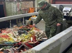 Под Таганрогом браконьеры пытались скрыться от пограничного наряда с уловом почти на 6 млн рублей 