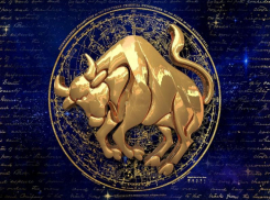 Что год грядущий сулит таганрожцам