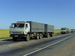 Под Таганрогом задержали двух жестоких убийц дальнобойщика