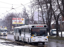 В Таганроге перевозчик готов улучшить качество перевозок, если стоимость проезда вырастет до 20-25 рублей