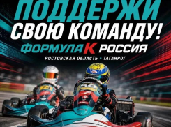  Жителей Таганрога приглашают на Чемпионат и Первенство по картингу