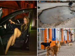 Руководить «Благоустройством» Таганрога станет ростовчанка Стелла Руф