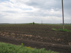 Раскопали на свою голову: два кургана рядом с Таганрогом будут изучать за счет компании