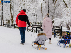 Местных родителей просят обеспечить детям безопасные новогодние каникулы