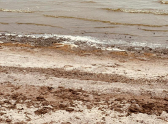 Дождались: в Таганроге озаботились улучшением пляжей