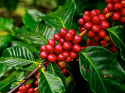 Почему сегодня нельзя жаловаться на жизнь: советы таганрожцам на 5 сентября