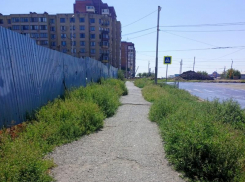 «В опале у администрации», - жители улицы Сызранова пожаловались на запущенность