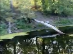 «Наши реки губит равнодушие» - таганрожец, купивший дом у Миуса рассказал о проблемах