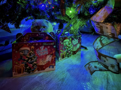 Покажи свою елочку и выиграй подарок: «Блокнот Таганрог» запустил праздничный фотоконкурс