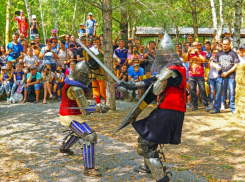 Организаторы фестиваля «Время мечей» просят отдать за них голос