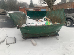 «Экотранс» разъяснил таганрожцам, что делать с испорченными мусорными баками