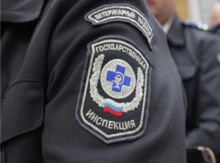 Под Таганрогом житель вызвал ветеринаров и получил штраф
