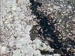 Что-то похожее на мазут нашли таганрожцы на берегу: след из Анапы? 